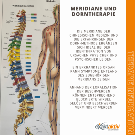 Informationsblatt zum Thema Meridiane und Dorntherapie