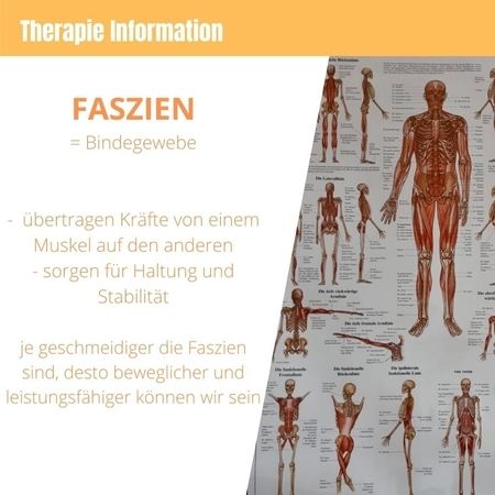 Informationsblatt zum Thema Faszien